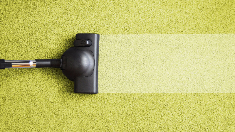 Extend the Life of Your Carpet by Hiring a Professional Lakeville Cleaner